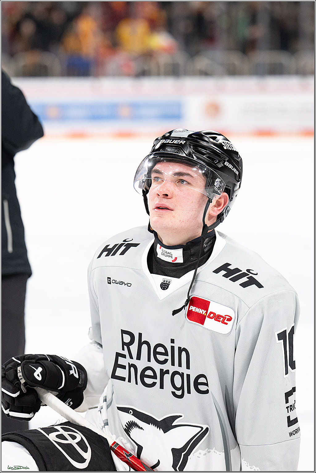 PENNY DEL; Duesseldorfer EG- Koelner Haie; Duesseldorf, 24.01.2025